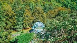 السياحه في بورجومي 2026